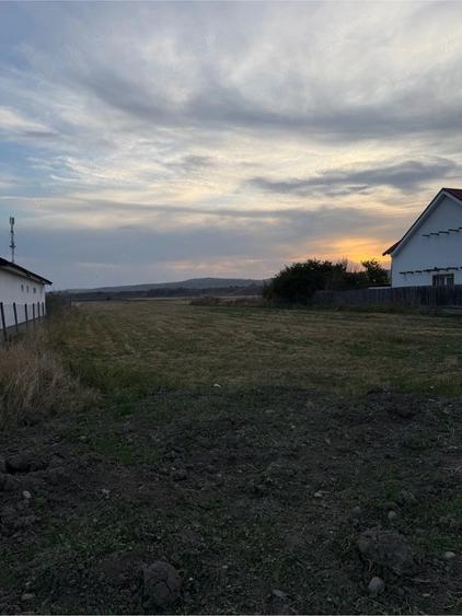 Teren de 1000 mp, în Vernești
