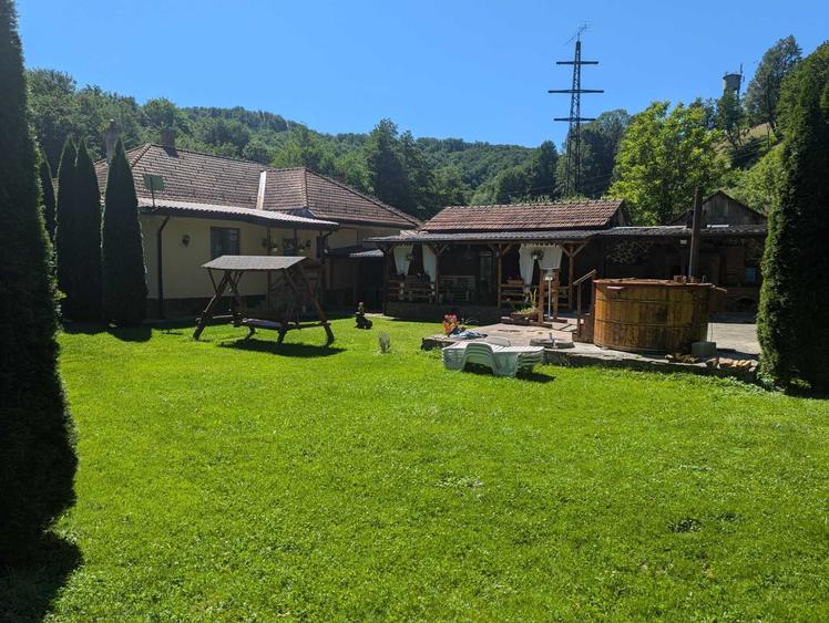 Casă cu 3 camere în Văliug