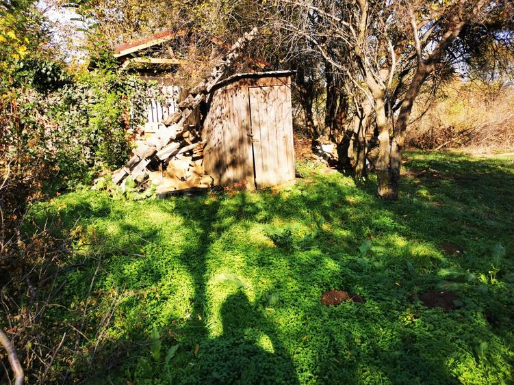 Casă individuală cu 2 camere cu Teren 2250 Mp în Gruiu