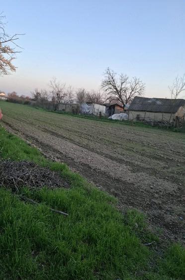 Casă cu Teren 2100 Mp în Nămoloasa