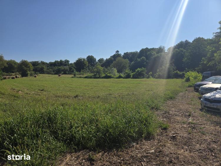 Teren de 3800 mp, în Țițești
