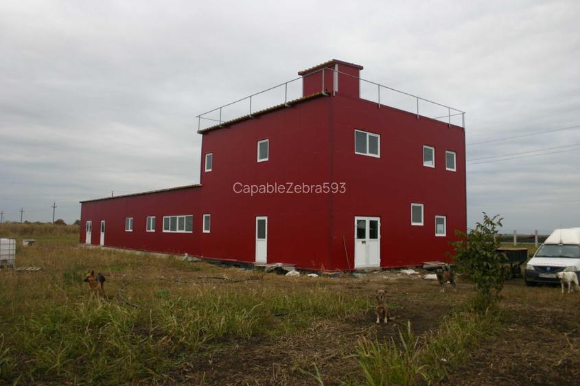 ferma agricola cu plantazia de sparanghel