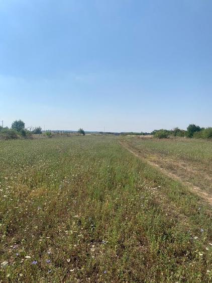 Teren Construcții intravilan de 4250 mp, în Snagov