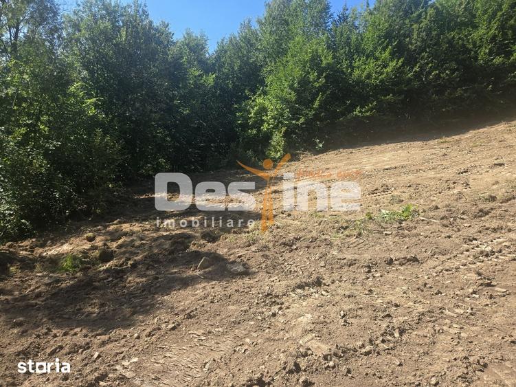 Teren Valea Doftanei, zona Pe Vale - Baraj Paltinu - 7