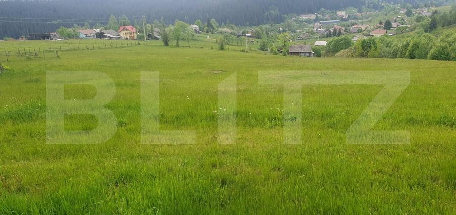 Teren Construcții intravilan de 9964 mp, în Vatra Dornei