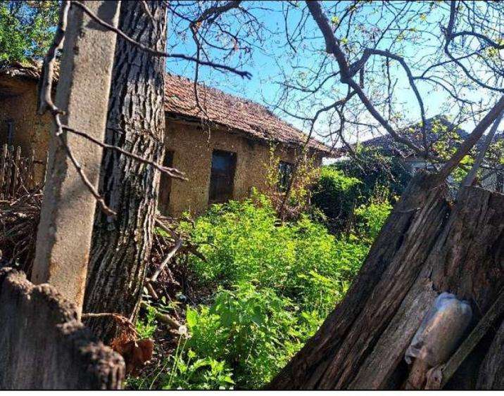 Cota de 1/2 din casa si teren- sat Poroini?a, Comuna Rog... - 3