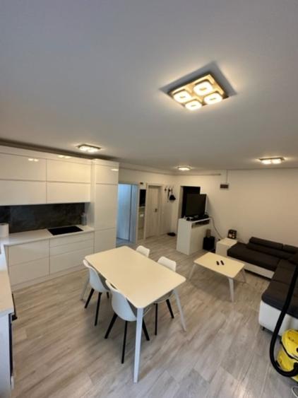Apartament cu 2 camere nedecomandat în Valea Borcutului
