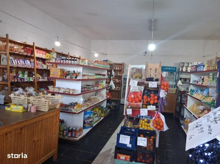 Spațiu comercial, de 350 mp, în Șepreuș