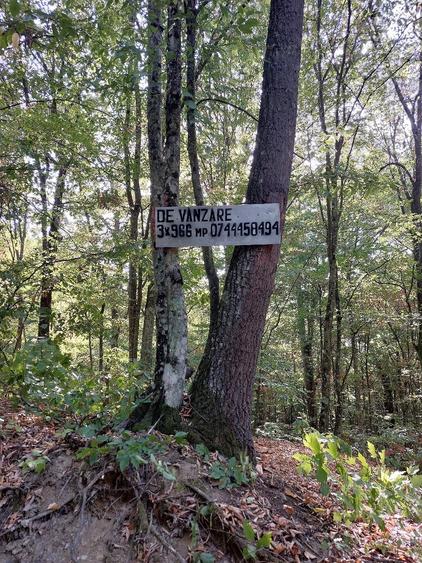 Teren de 966 mp, în Fârdea