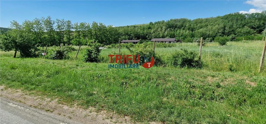 Teren Construcții intravilan de 772 mp, în Teleac