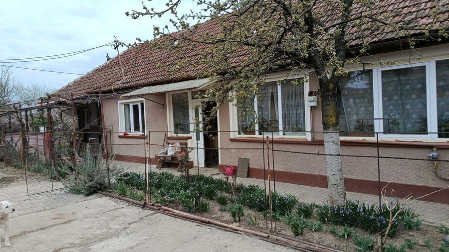 Casă cu 3 camere în Central