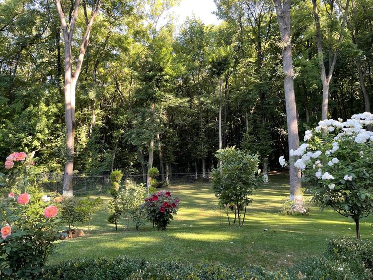 Casă individuală cu 8 camere cu Piscina în Pipera