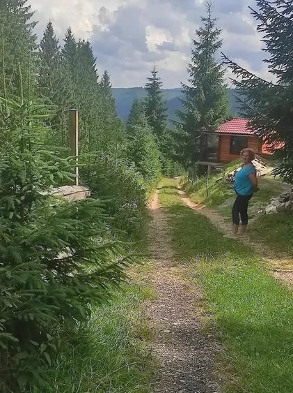 Teren de 3000 mp, în Beliș