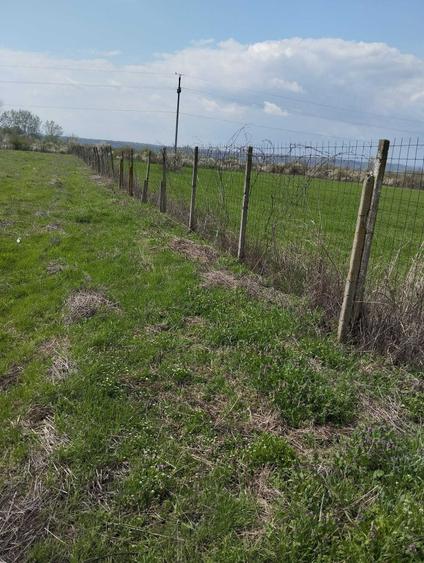 Teren de 5000 mp, în Șimian