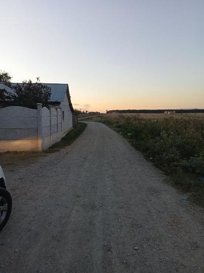 Teren Construcții intravilan de 378 mp, în Frumușani