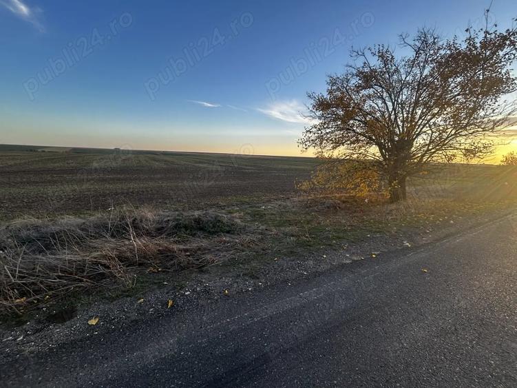 Teren de 20000 mp, în Orțișoara
