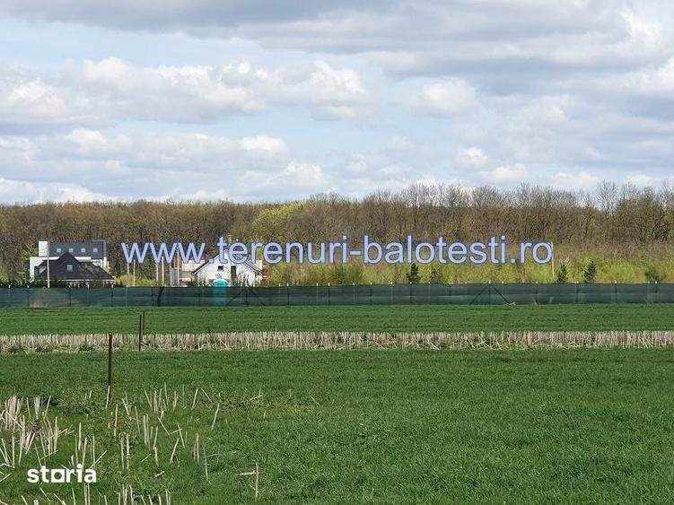 Teren Balotesti, vecinatate padure Sri,19500 euro - 1