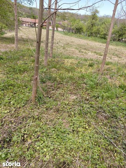 Vand casa in Capru?a - 14