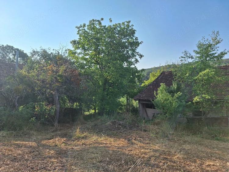 Teren de 2880 mp, în Mustești