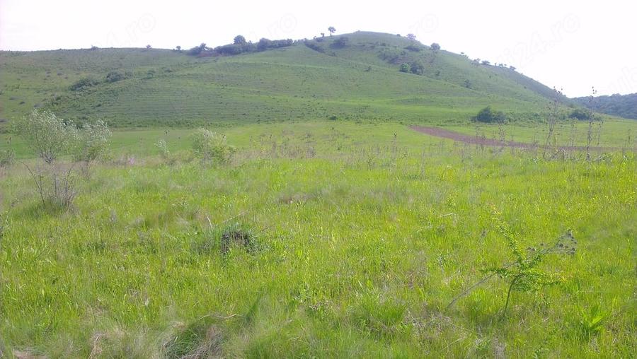 Teren de 1800 mp, în Florești