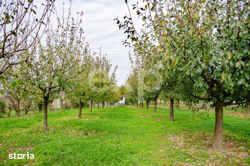 Teren de 1191 mp, în Racovița