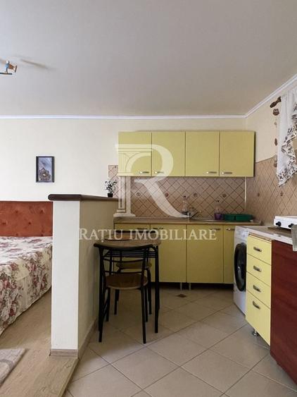 Casă individuală cu 1 camere cu Canalizare în Rogerius