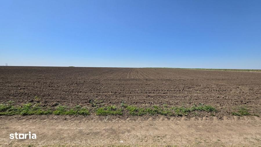 Teren de 2000 mp, în Corbu