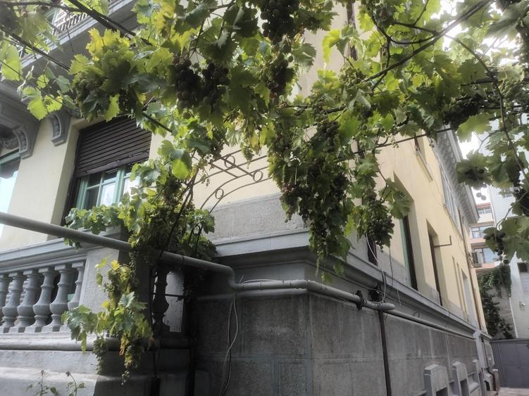 Apartament cu 3 camere decomandat în Floreasca