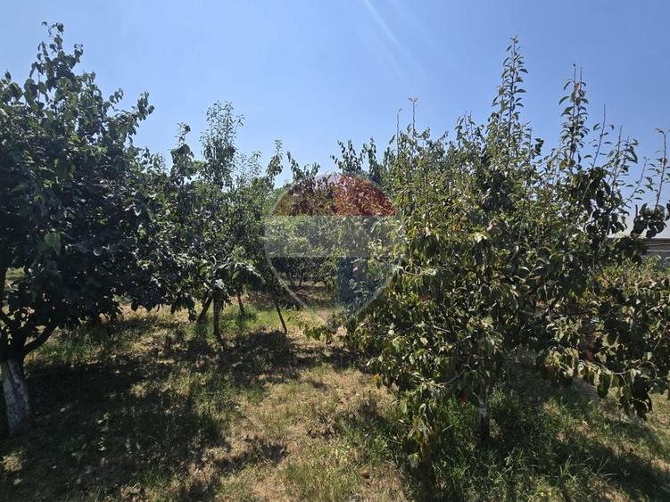 Casă individuală cu 6 camere cu Teren 2600 Mp în Bulbucata