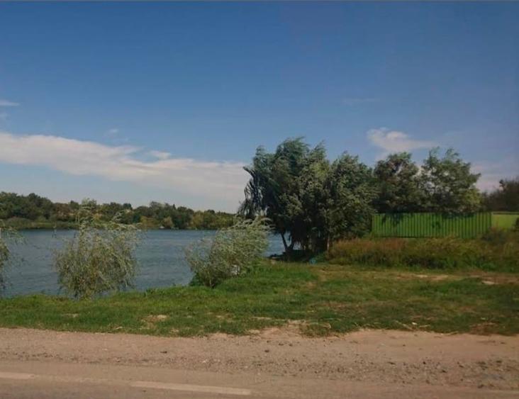 Teren agricol extravilan de 50000 mp, în Ileana