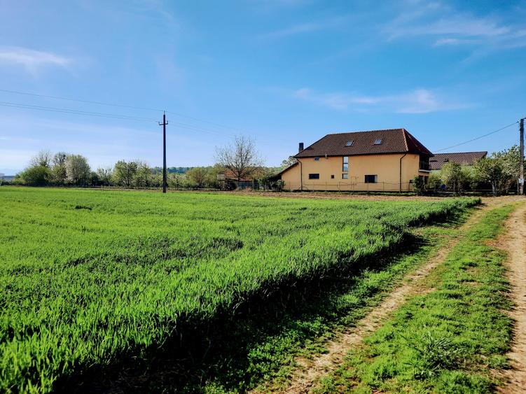 Teren agricol extravilan de 4923 mp, în Sântuhalm