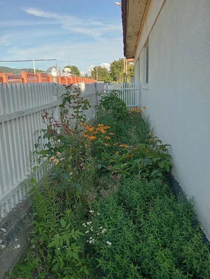 Casă cu Teren 397 Mp în Baru