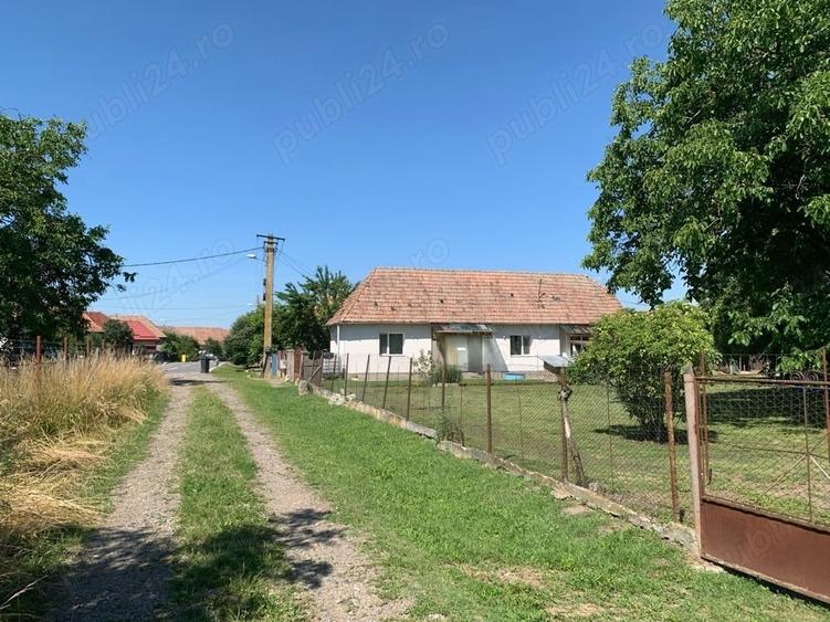 Teren de 7726 mp, în Vidrasău