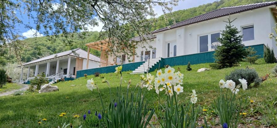Casă individuală cu 5 camere cu Teren 2306 Mp în Predeluț