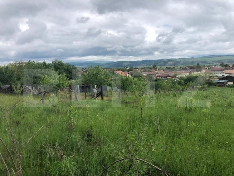 Teren Construcții intravilan de 10656 mp, în Nord