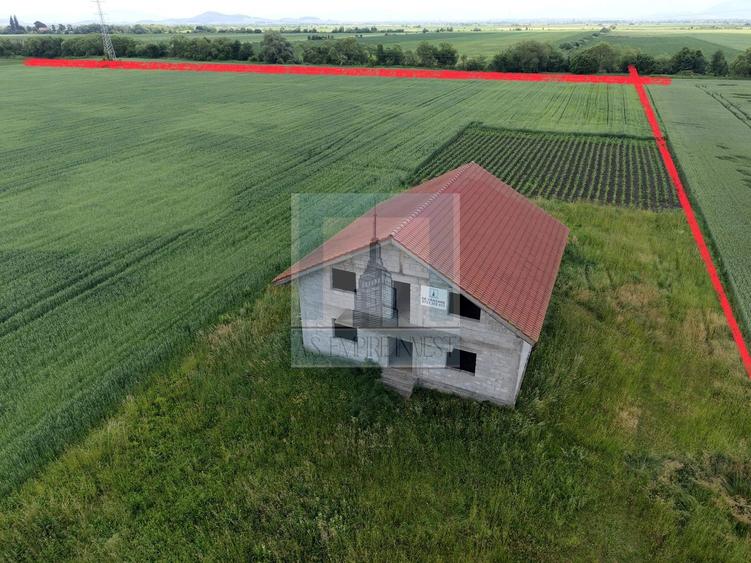 Teren Construcții intravilan de 50000 mp, în Hălchiu