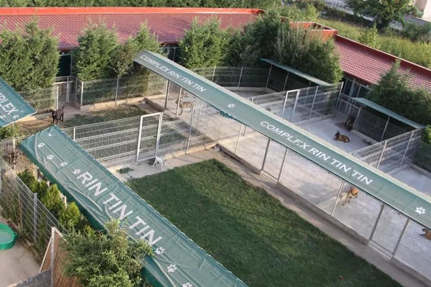 Spațiu comercial, de 1,100 mp, în Voluntari