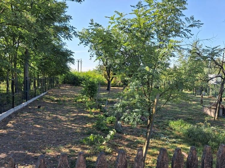 Casă individuală cu 2 camere cu Teren 1500 Mp în Orbeasca de Sus