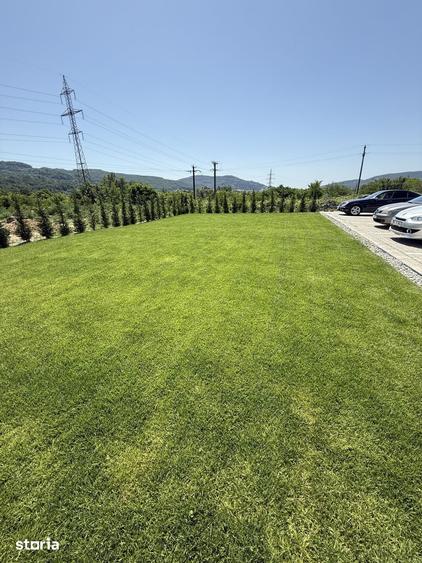 Teren de 13000 mp, în Bujoreni