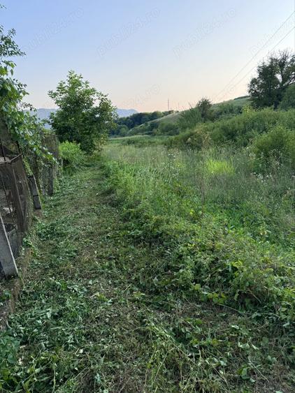 Teren de 4450 mp, în Șoimuș