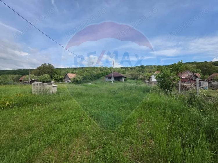 Casă cu Teren 4234 Mp în Deag