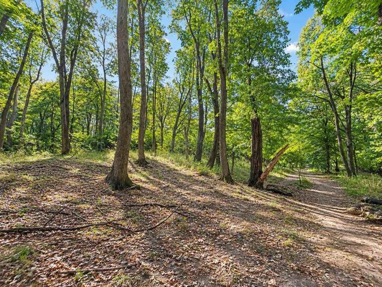 Teren extravilan de 10000 mp, în Bucium