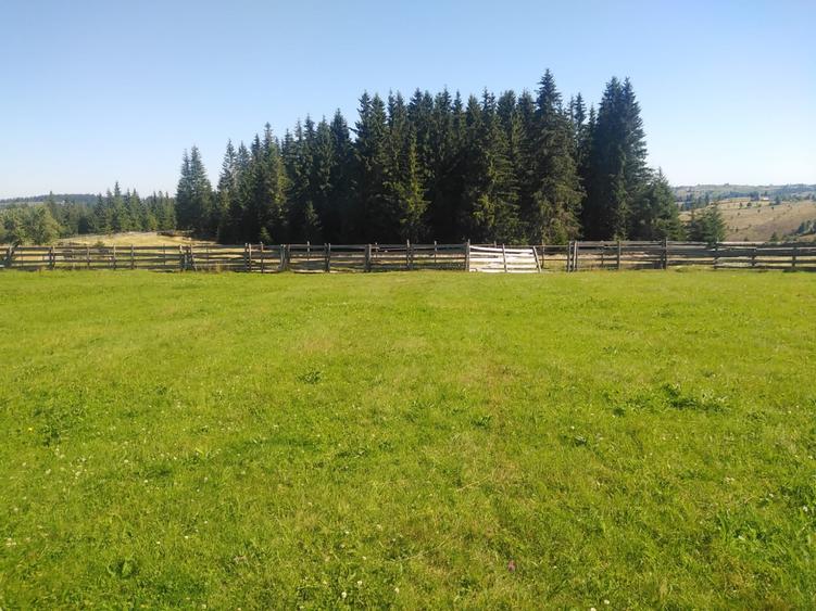 Teren Construcții intravilan de 3538 mp, în Măguri