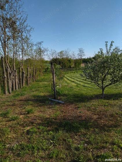 Teren de 2500 mp, în Mihăilești