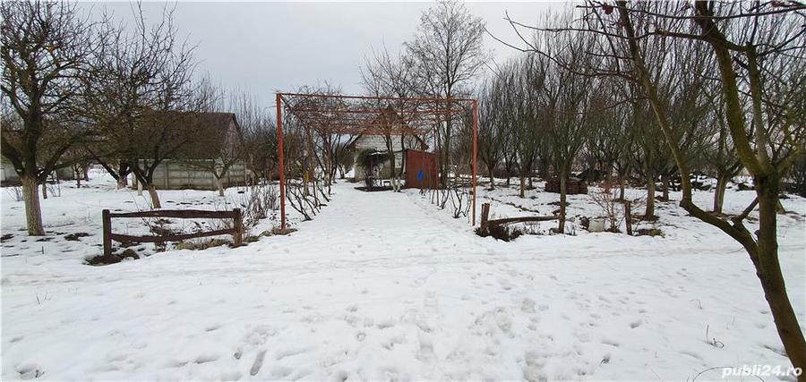 Teren de 2500 mp, în Careiului