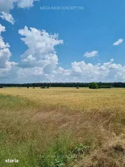 Teren de 428.99 mp, în Brănești