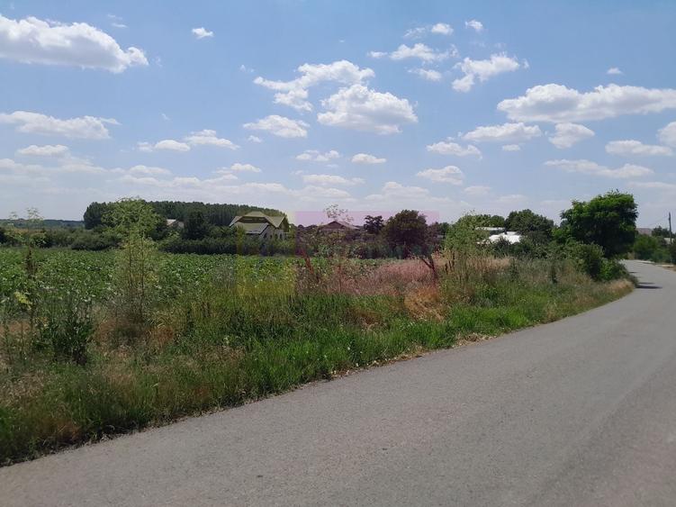 Teren Construcții intravilan de 16500 mp, în Teișori