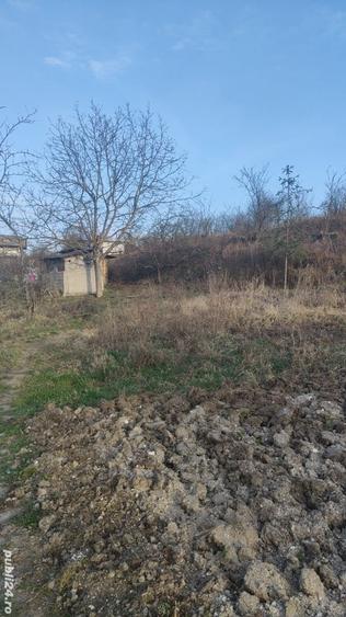 Teren de 14251 mp, în Podgoria
