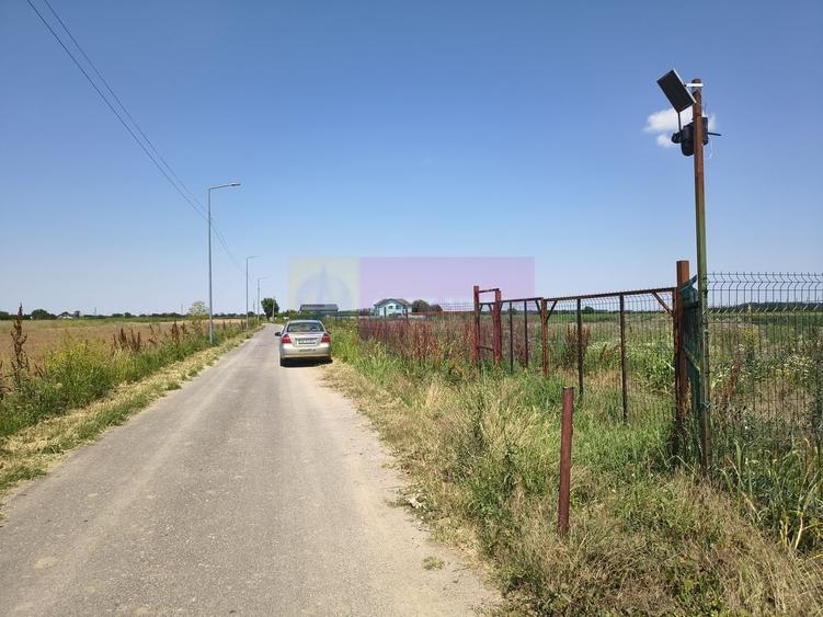 Teren pentru casa aproape de Bucuresti - 7