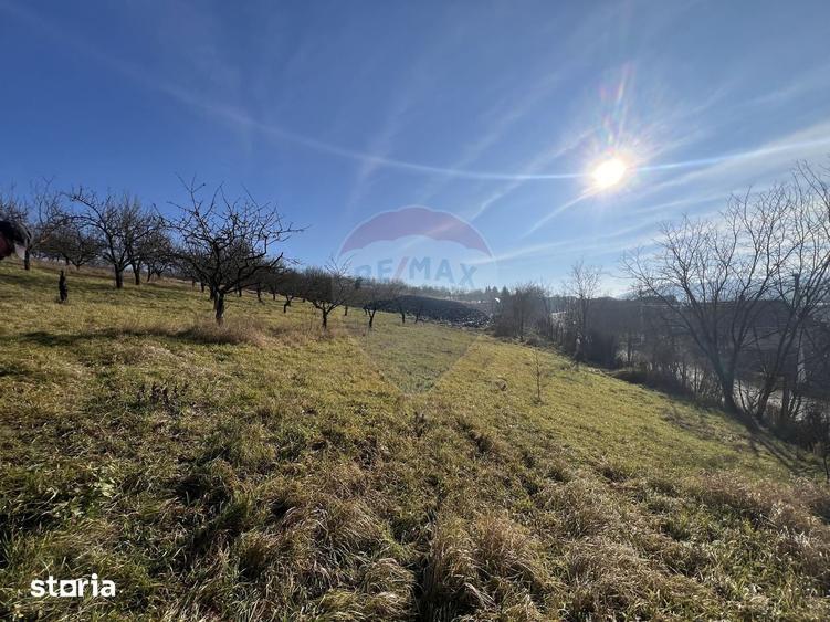 Teren de 10000 mp, în Moldovenești